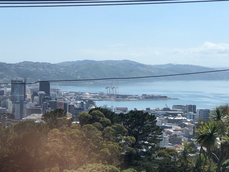 16 Jefferson Street, Brooklyn, Wellington - Carousel 2