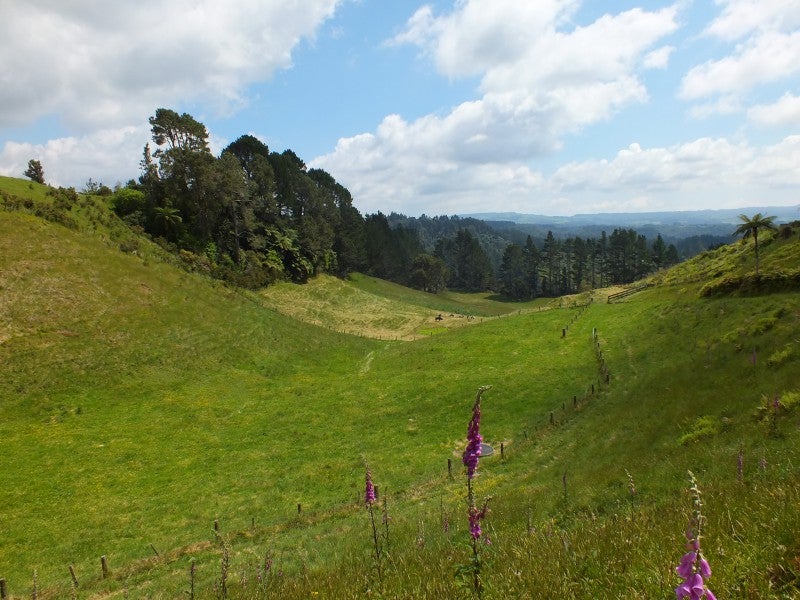 588 MCLAREN FALLS ROAD, Omanawa, Tauranga - Carousel 2