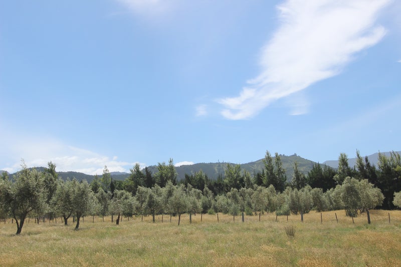 82 Rarangi Road, Rarangi - Carousel 2