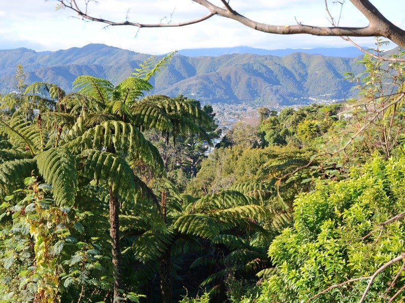 2 Viewmont Drive, Harbour View, Lower Hutt - Carousel 2