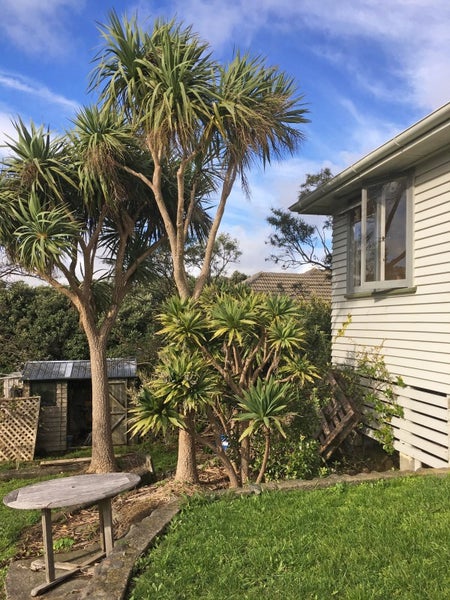 37 Mana Avenue, Titahi Bay, Porirua - Carousel 1