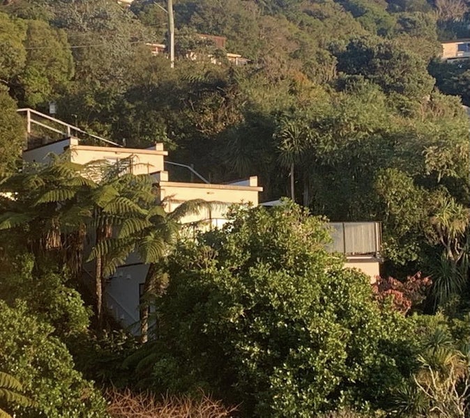 10 Koromiko Road, Aro Valley, Wellington - Carousel 2