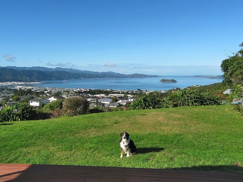 16 Reese Jones Grove, Maungaraki, Lower Hutt - Carousel 18