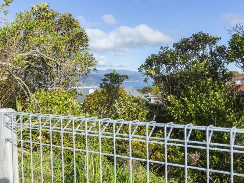 16 Lime Grove, Maungaraki, Lower Hutt - Carousel 24