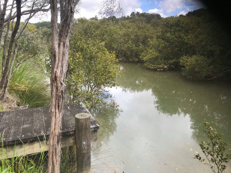 1458 Ngunguru Road, Whangarei - Carousel 1