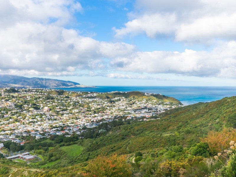 85 Quebec Street, Kingston, Wellington - Carousel 22