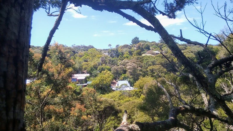237 Ocean View Road, Oneroa, Waiheke Island - Carousel 2