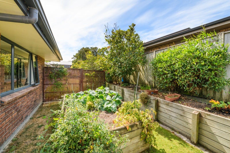22 Masefield Terrace, Kelvin Grove, Palmerston North - Carousel 24