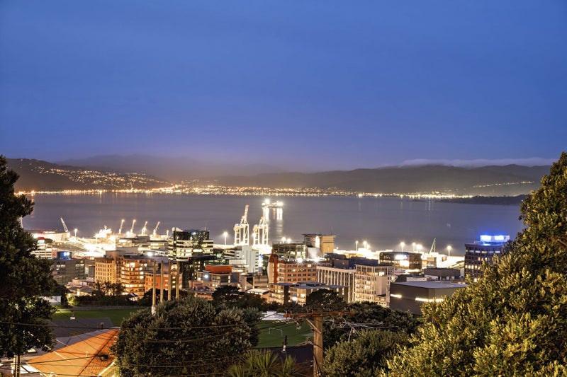 18 Central Terrace, Kelburn, Wellington - Carousel 30