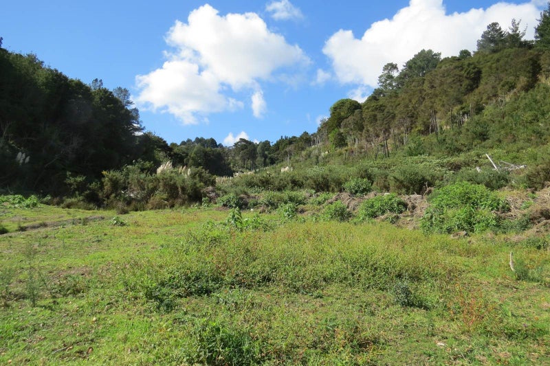 0 Horeke Road, Horeke, Okaihau - Carousel 19