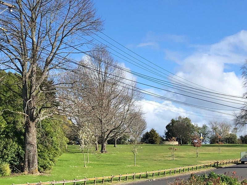25A Sillary Street, Hamilton East, Hamilton - Carousel 18