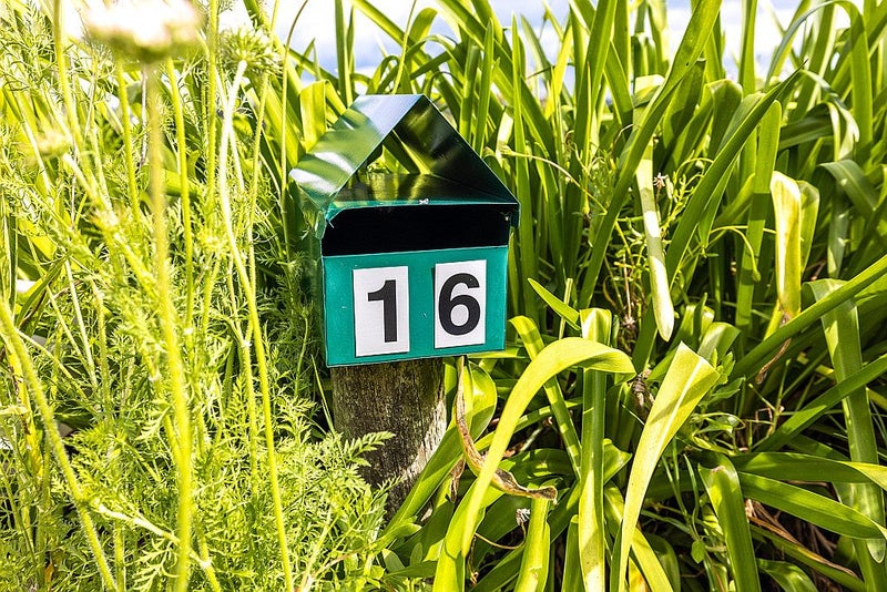 16 Marama Avenue, Surfdale, Waiheke Island - Carousel 18