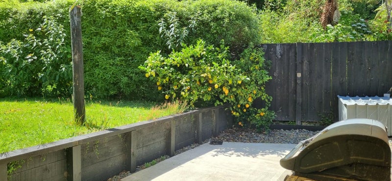 22 Tombleson Road, Lake Rotoma - Carousel 5