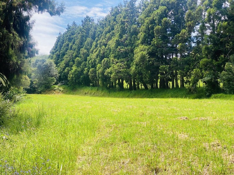 565 Whitford Road, Howick - Carousel 2