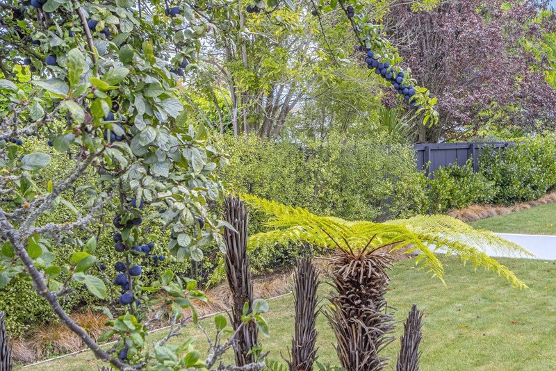 12 Scotston Avenue, St Albans, Christchurch - Carousel 19