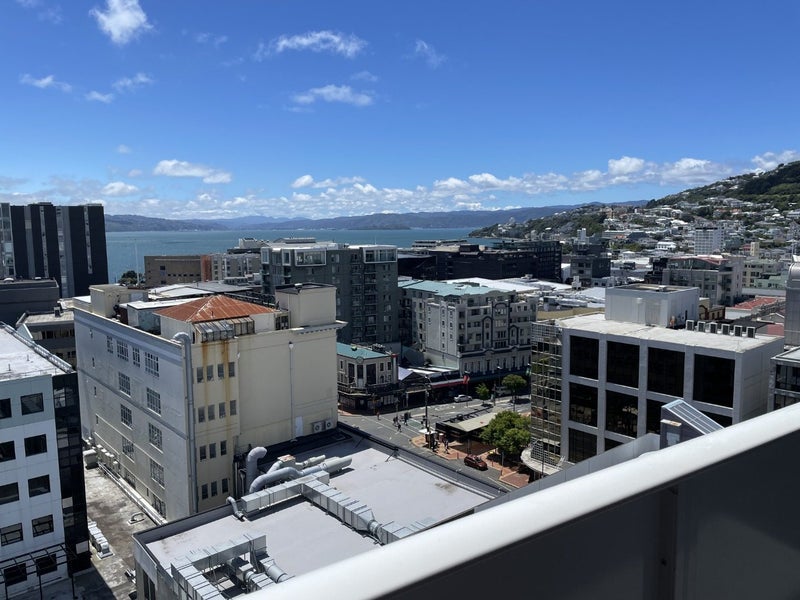 406/74 Taranaki Street, Te Aro, Wellington - Carousel 20