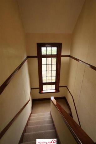 310 Highgate, Roslyn, Dunedin - Carousel 2