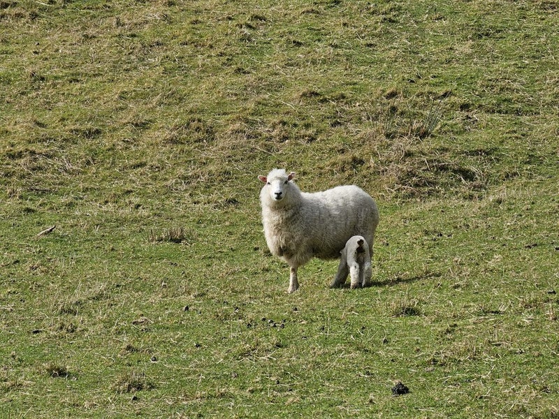 541 South Makara Road, Karori - Carousel 47