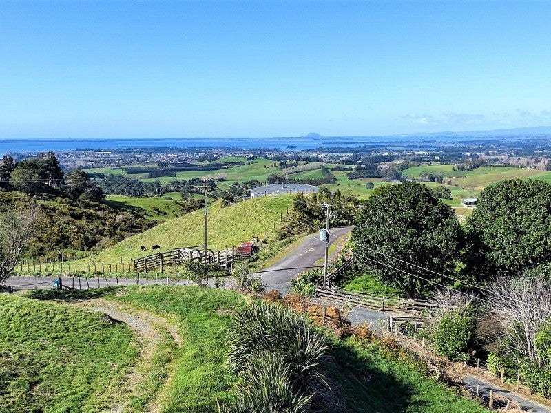 335 Lindemann Road, Katikati - Carousel 1