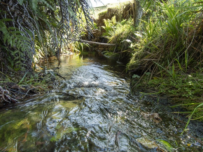 8 Leyland Road, Tauranga - Carousel 2