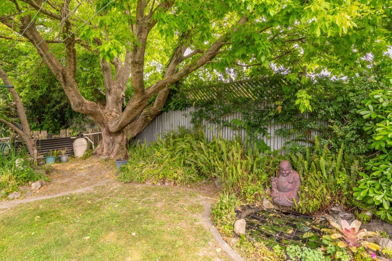 31 Merton Crescent, Pirimai, Napier - Carousel 19
