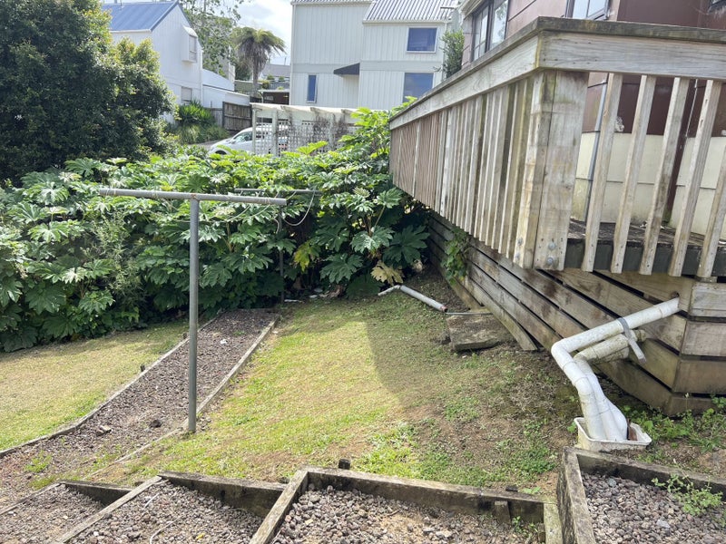 1A Viewland Avenue, Onehunga, Auckland - Carousel 15