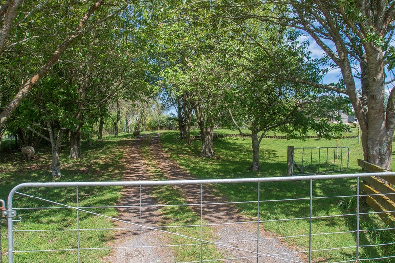 165 Halcrow Road, Reporoa - Carousel 22