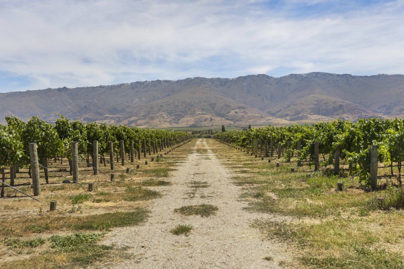 0 Loop Rd, Bendigo, Cromwell - Carousel 8