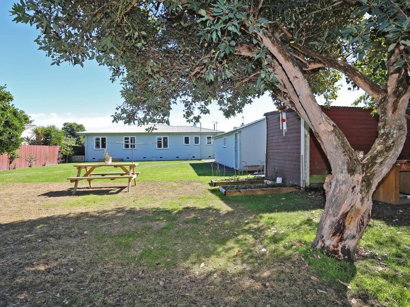 604 Puriri Street, Raureka, Hastings - Carousel 15