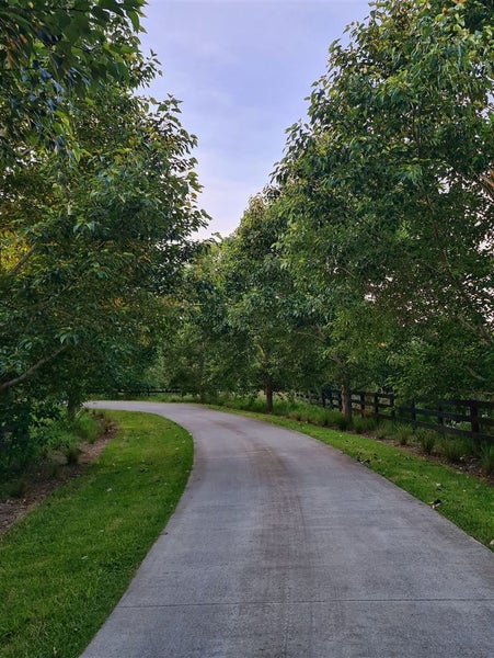 149 Blackbridge Road, Albany - Carousel 23