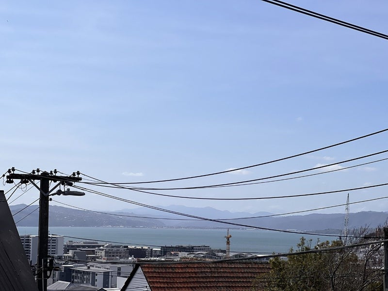 76B Thompson Street, Mount Cook, Wellington - Carousel 9