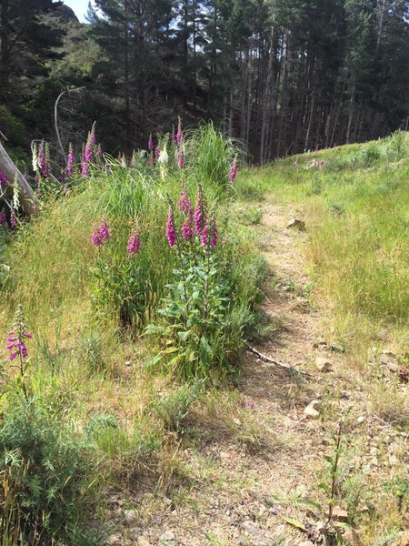 148 Makara Road, Karori - Carousel 20