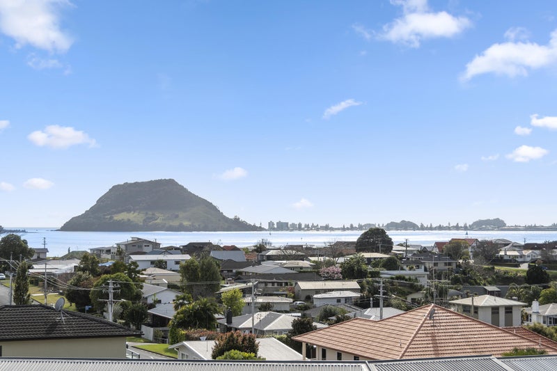11 Tirinui Crest Road, Otumoetai, Tauranga - Carousel 19