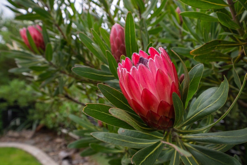 85 Riverstone Drive, Riverstone Terraces, Upper Hutt - Carousel 20