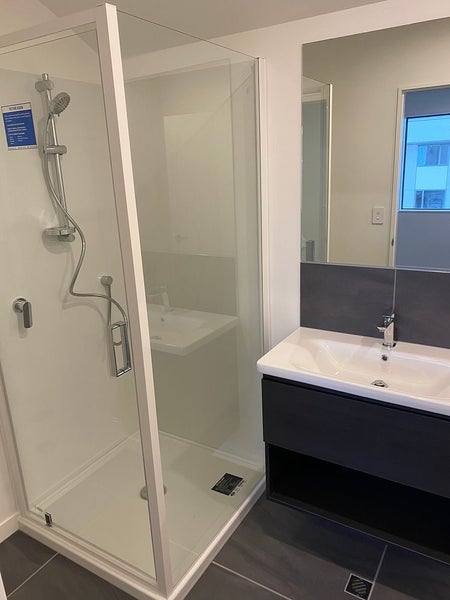 13 Te Ara O Te Amo Hohipene, Petone, Lower Hutt - Carousel 12