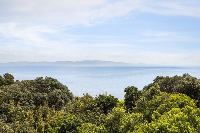10 Adams Road, Thornton Bay, Thames - Carousel 2