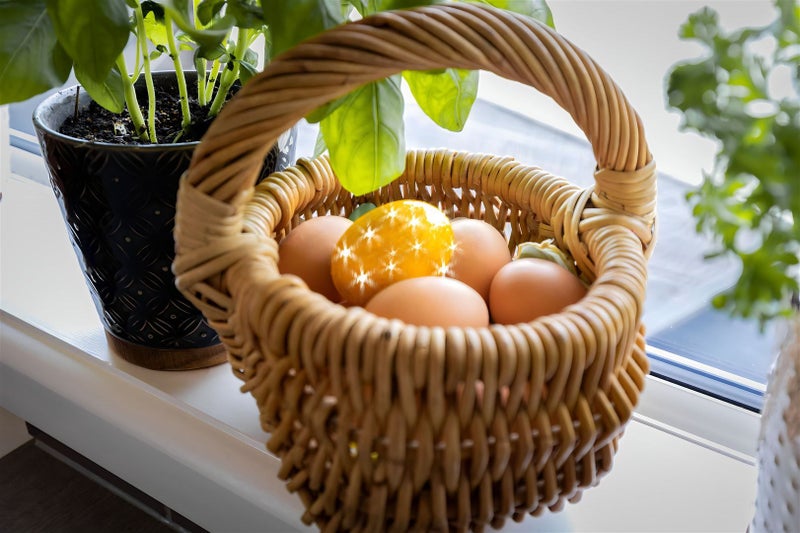 95 Kendal Avenue, Burnside, Christchurch - Carousel 1