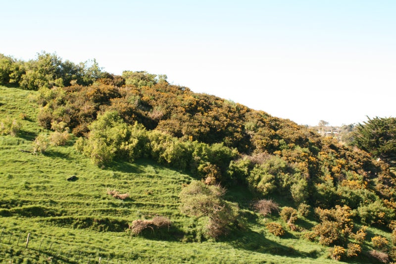 52 Cracroft Drive, Putiki, Whanganui - Carousel 5