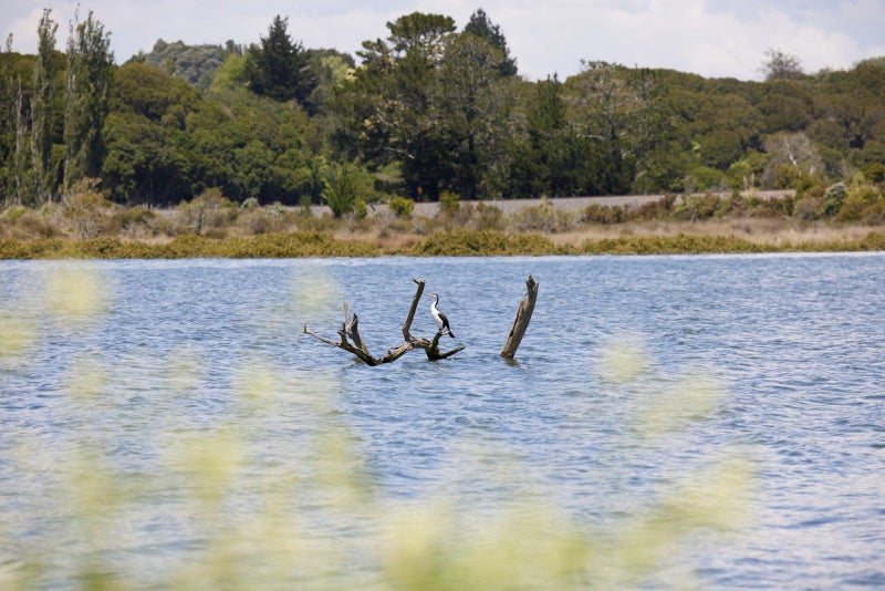 20 Te Ara O Tahataharoa, Te Puna, Tauranga - Carousel 17