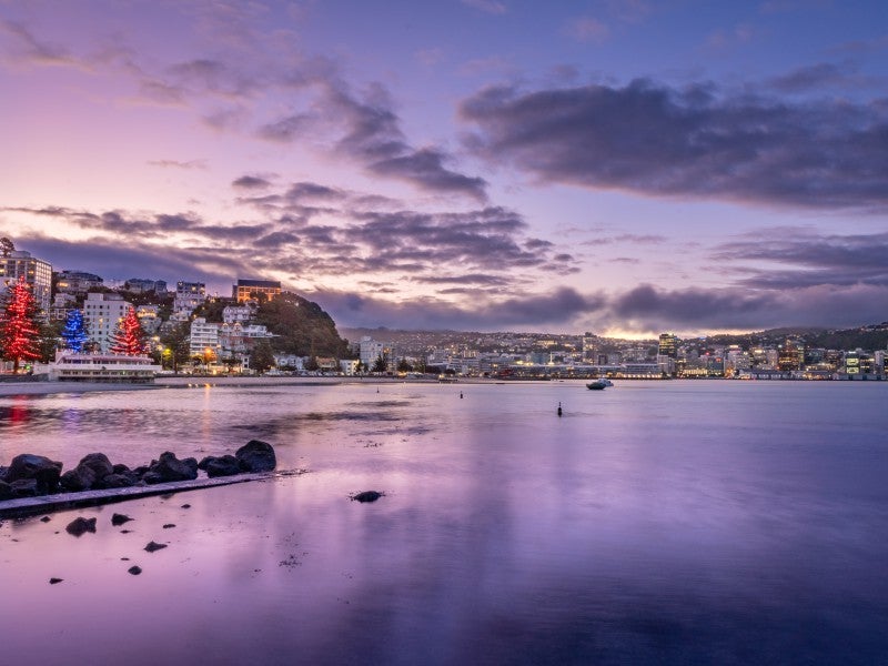 300 Oriental Parade, Oriental Bay, Wellington - Carousel 2