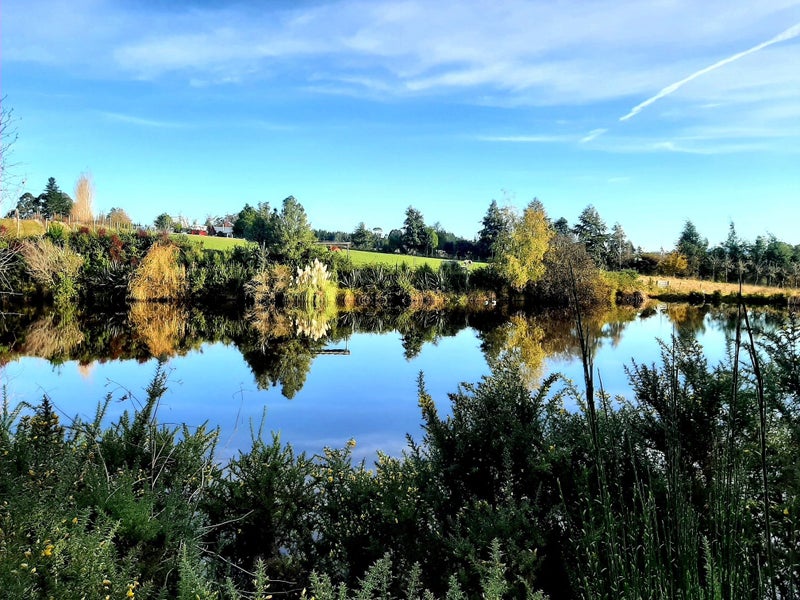 23 Hewetson Road, Upper Moutere - Carousel 2