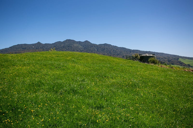 1/407 Sainsbury Road, Te Awamutu - Carousel 30