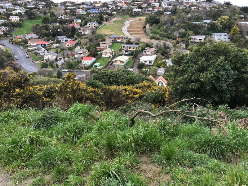 24J Archibald Street, Waverley, Dunedin - Carousel 6