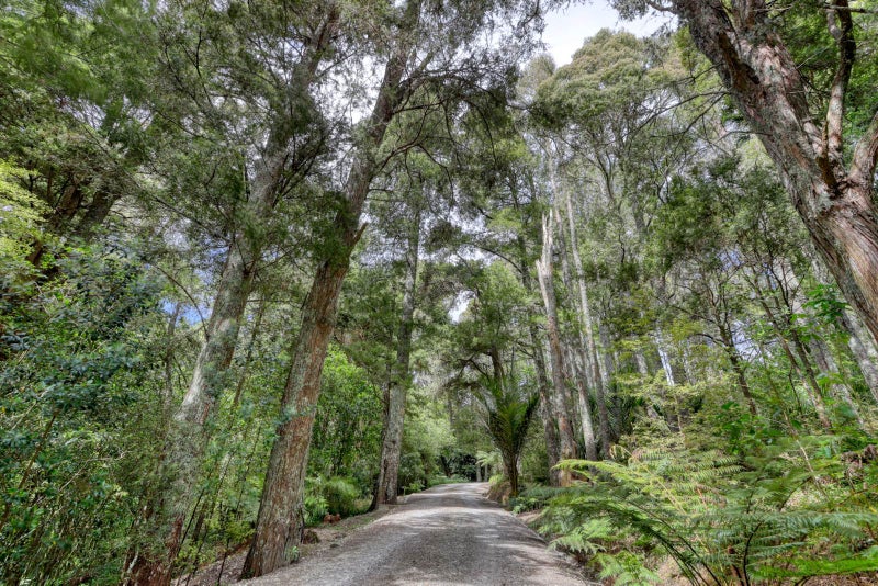 128 Settlement Road, Kaiwaka, Kaiwaka - Carousel 2