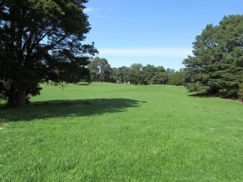 410 Mill Road, Ashley Clinton, Takapau - Carousel 2