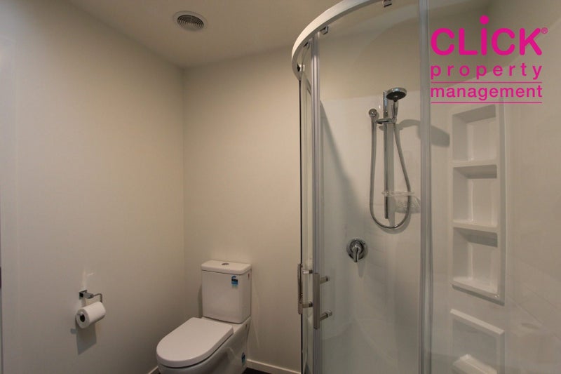 87 Maitland Street, Dunedin Central, Dunedin - Carousel 16