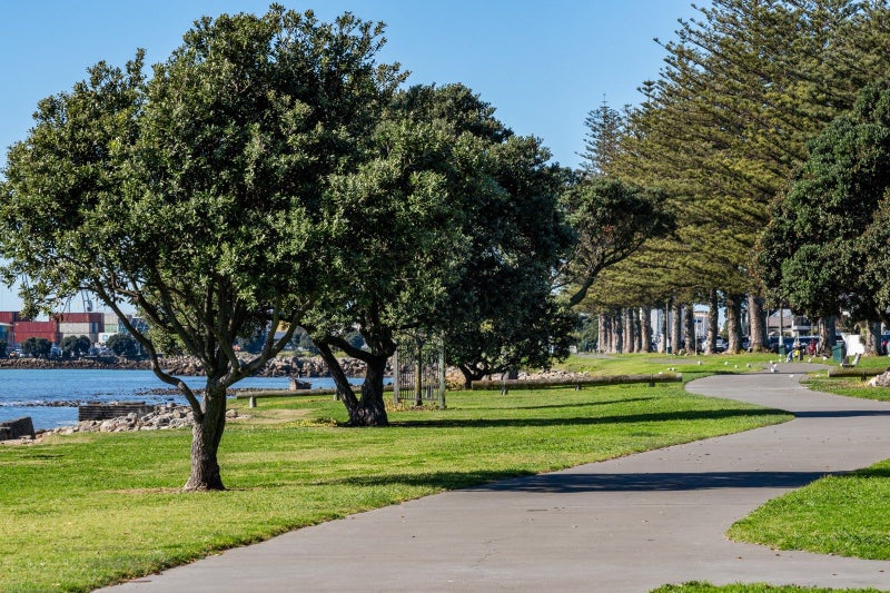 29 Hardinge Road, Ahuriri, Napier - Carousel 26