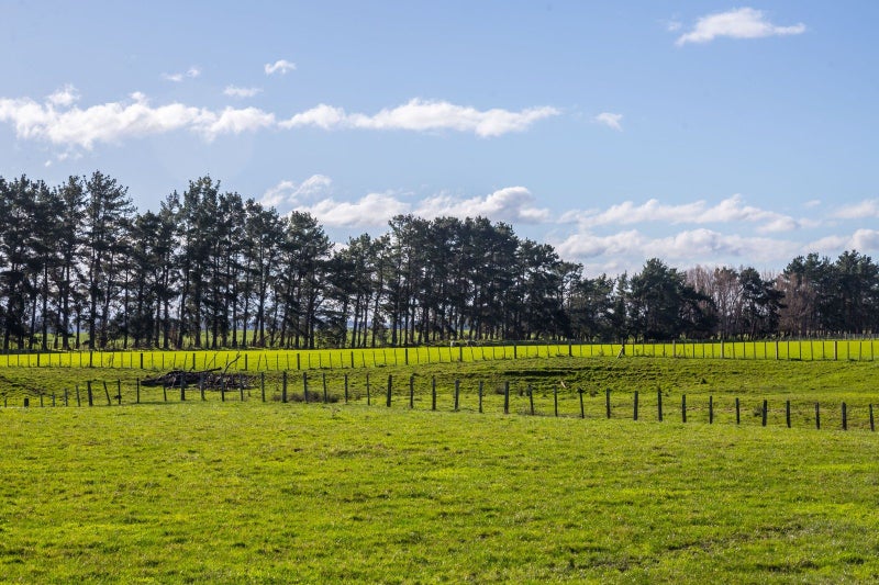 18 Mahaki Road, Dyerville, Martinborough - Carousel 11