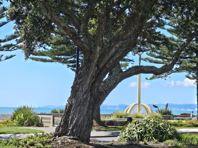 541A Marine Parade, Napier South, Napier - Carousel 2