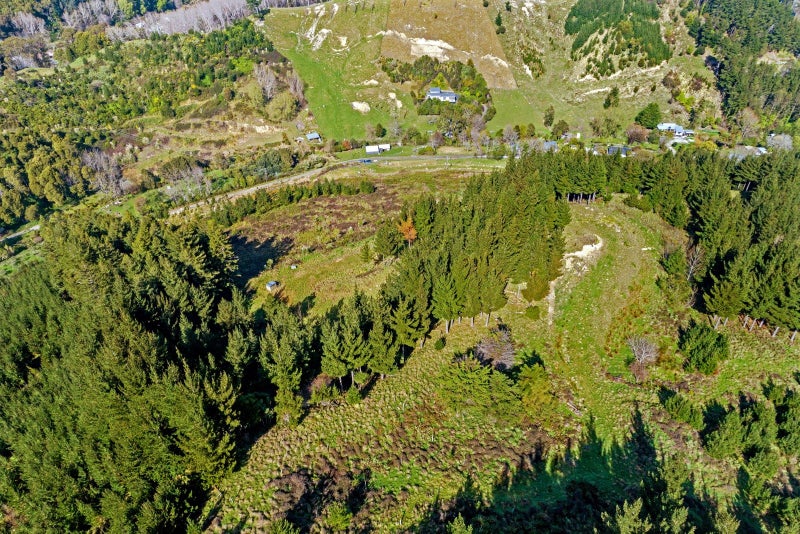 0 Shelley Road, Whataupoko, Gisborne - Carousel 2